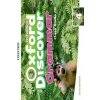 Oxford Discover 2nd.Edition 4 Grammar Class Audio CDs - Koustaff