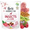 Brit Care Dog Insects with Lamb & Raspberries 200 g