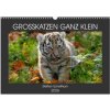GROSSKATZEN GANZ KLEIN WandDIN A3 quer, CALVENDO Monats 2026
