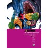 Judge Dredd: The Complete Case Files 45