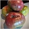 Paradajka Cherokee - Solanum lycopersicum - semená - 7 ks