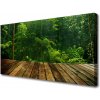 Obraz na plátne Les príroda 100x50 cm