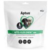 Orion Pharma Aptus Apto-Flex chew mini 40 tbl