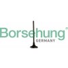 BORSEHUNG Sací ventil B10334