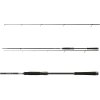 Daiwa Prút Caldia Spin 3,1m 7-35g 2diel