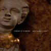 Krejcar Libor & Tamers Of Flowers - Mezi nebem a zemí / Vinyl [LP]