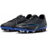 Nike ZOOM VAPOR 15 ACADEMY AG dj5630-040