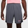 Kraťasy Nike Grey 4700377
