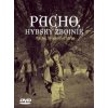 Pacho, hybský zbojník DVD