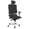 ASANA Seating Ergonomická kancelárska stolička Asana Architect Farba čalúnenia: Eko koža Antracitová 525 11 farieb