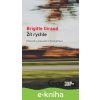 E-kniha Žít rychle - Brigitte Giraud