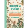 Jednou se mi splní sen 2 - Trochu deník, trochu cestopis Vietnam, Kambodža, Thajsko, Malajsie, Brunej a Singapur