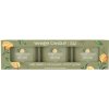 Yankee Candle Sage & Citrus 3 x 37 g