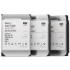 Synology HDD HAT5300-4T (4TB, SATA 6Gb/s)