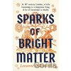 Sparks of Bright Matter - Leeanne O'donnell