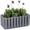Prosperplast BOARDEE FENCYCASE W Truhlík 38x18x16,2cm antracit DDEF400W
