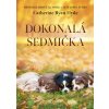 Dokonalá sedmička Ryan Hyde Catherine 2022 (E-kniha)