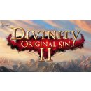 Hra na PC Divinity Original Sin 2