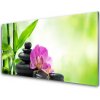 Obraz plexi Bambus kamene zen umenie 100x50 cm