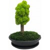 Bezúdržbový bonsaj Simple Dark