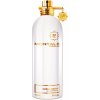 Montale Nepal Aoud parfumovaná voda unisex 100 ml
