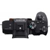 Sony Alpha 7 Mark III Body