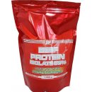 ATP Nutrition Beef Protein Isolate 95 1000 g