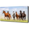 Foto obraz na plátne Kone v cvale 100x50 cm
