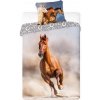 Javoli Posteľná bielizeň 140 x 200 cm / 70 x 90 cm bavlna - kôň v zálive