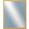 DANTIK - Zrkadlo v rámu, rozmer s rámom 80x100 cm z lišty LYON zlatá (2703)