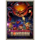 Enter the Gungeon