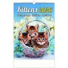 Kalendár nástenný 2026 - Kittens/Katzenbabys/Mačiatka/Mačičky