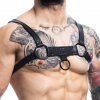 H4RNESS by C4M Party Black Harness