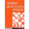 Sicilian Grand Prix Attack (James Plaskett)(Brožovaná)