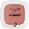 L'Oréal Paris Accord Parfait lícenka 120 Santalwood Pink 5 g