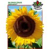Slnečnica záhradná - 10g