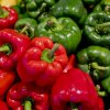 Paprika Yolo Wonder - Capsicum annuum - semená - 8 ks