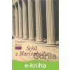 E-kniha Sešit z Marienbadu - Vladimír Binar