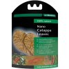 Dennerle Nano Catappa Leaves 12 ks