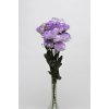 LISIANTHUS, CUT FLOWER DOUBLE, ABC 1 MISTY BLUE, 1000 semien