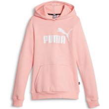 Puma Ess Logo Hoodie K 587031-63