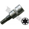 TRIUMF Bit Torx v 3/8