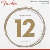 Struny Fender 60L 12-53 pre akustickú gitaru