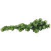 Lucky Reptile Turtle Plants Horn Fern cca 40 cm