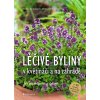 Léčivé byliny v květináči a na zahradě