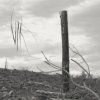 Vlk - Solastalgia I [CD]