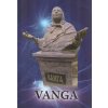 Vanga 1911-1996 - život, myšlenky, proroctví (životopis a autentické záznamy ze sezení s 