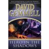 Hero In The Shadows