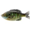 Savage Gear DC Slide Gill Floating Bluegill 6,5cm 17g