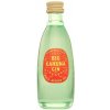 Big Kahuna Gin Pineapple 40% 0,05 L (čistá fľaša)